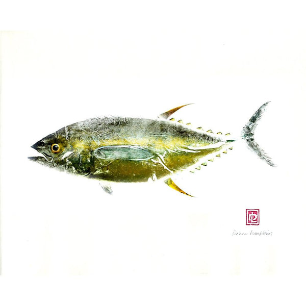 æÈAhi Fish Print