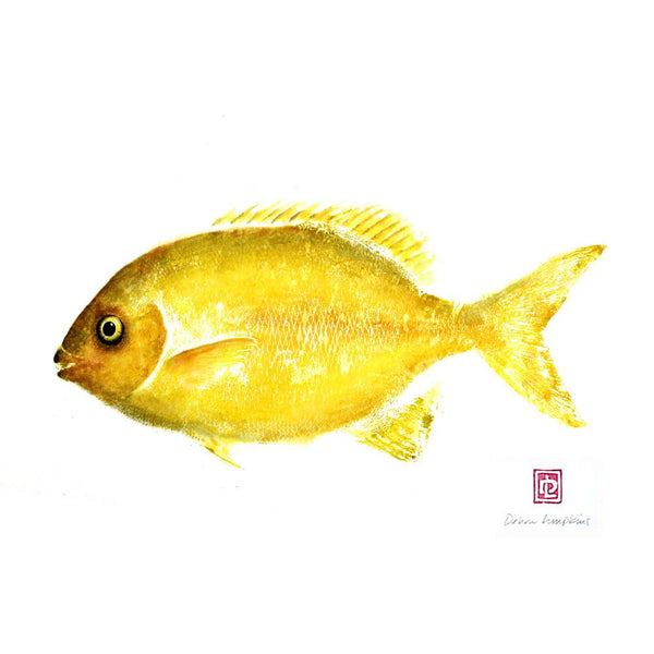 Maui made fish print of a chub fish also known as rudder or pilot fish