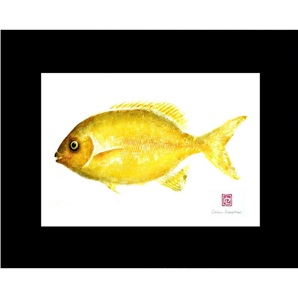 Maui made fish print of a chub fish also known as rudder or pilot fish