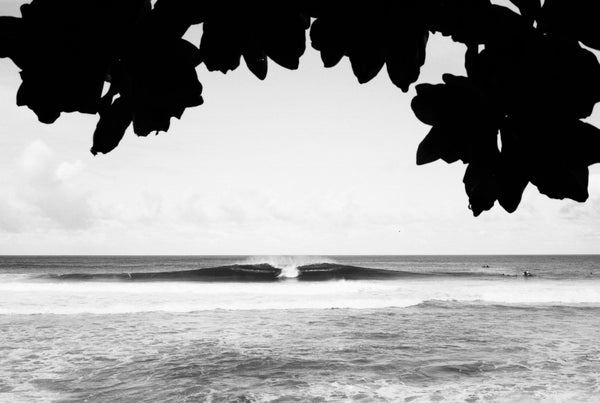 Peek at Pipeline, Northshore Oahu